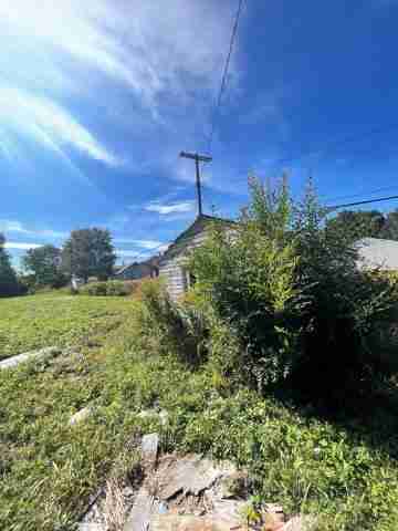 17257 bloom (13).jpg